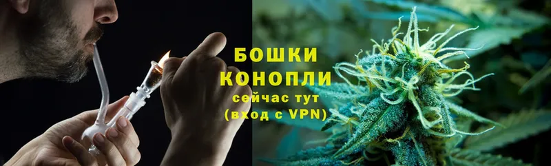 Бошки Шишки White Widow  Инза 